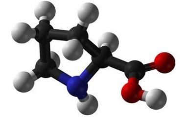 Пролин: полезные свойства, показания