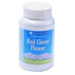 Цветки красного клевера (Red clover flowers) Цветки красного клевера (Red clover flowers)