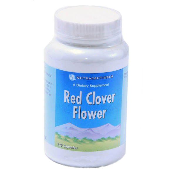 Цветки красного клевера (Red clover flowers)